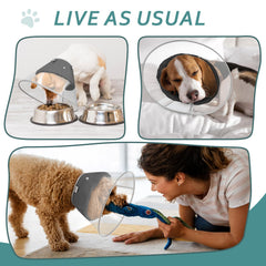 Petdream six sizes dog cone fits a range of breeds
