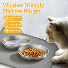 Petdream whisker-friendly shallow bowls reduce whisker contact during meals