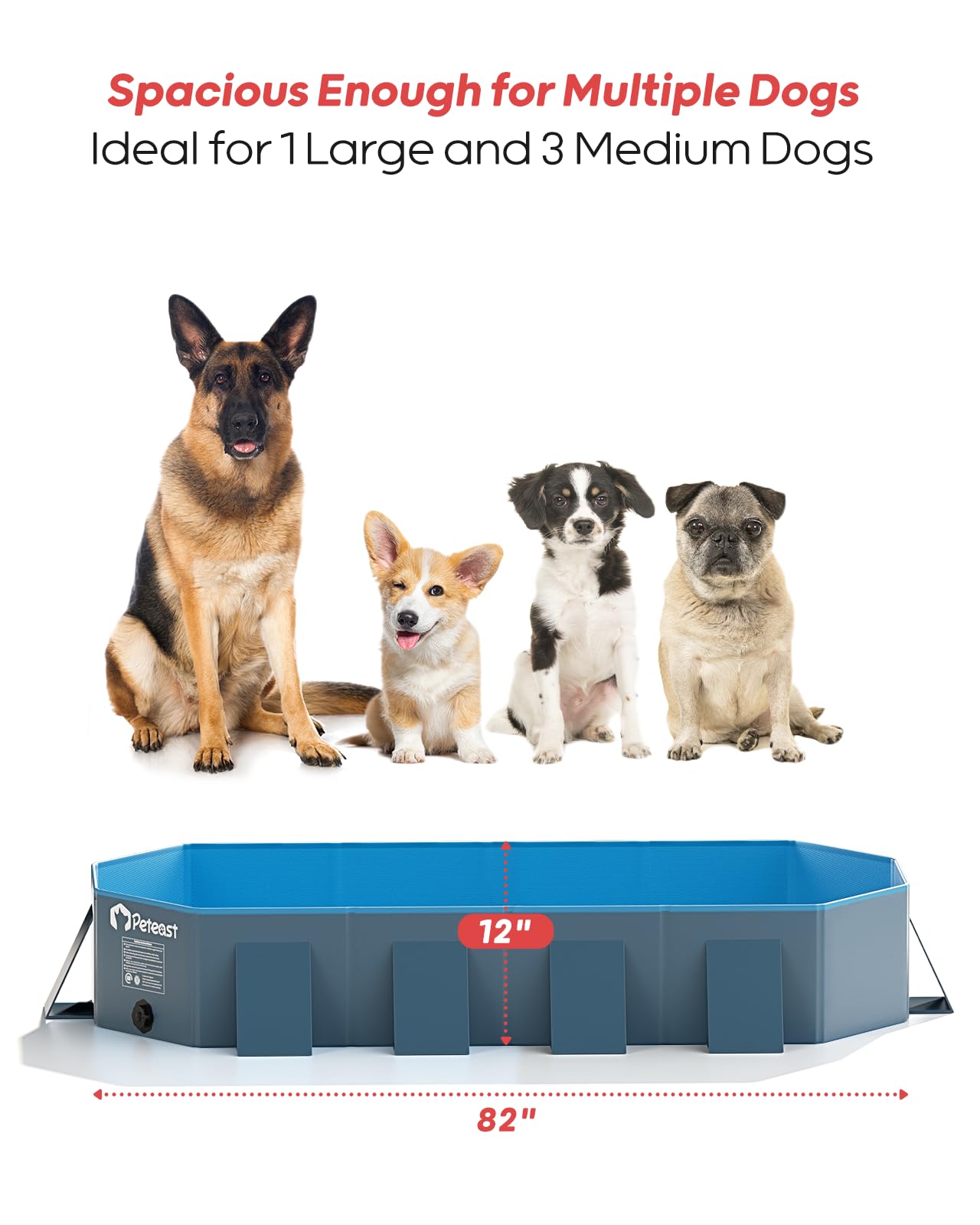 Peteast easy fold-and-store dog pool fits compact spaces