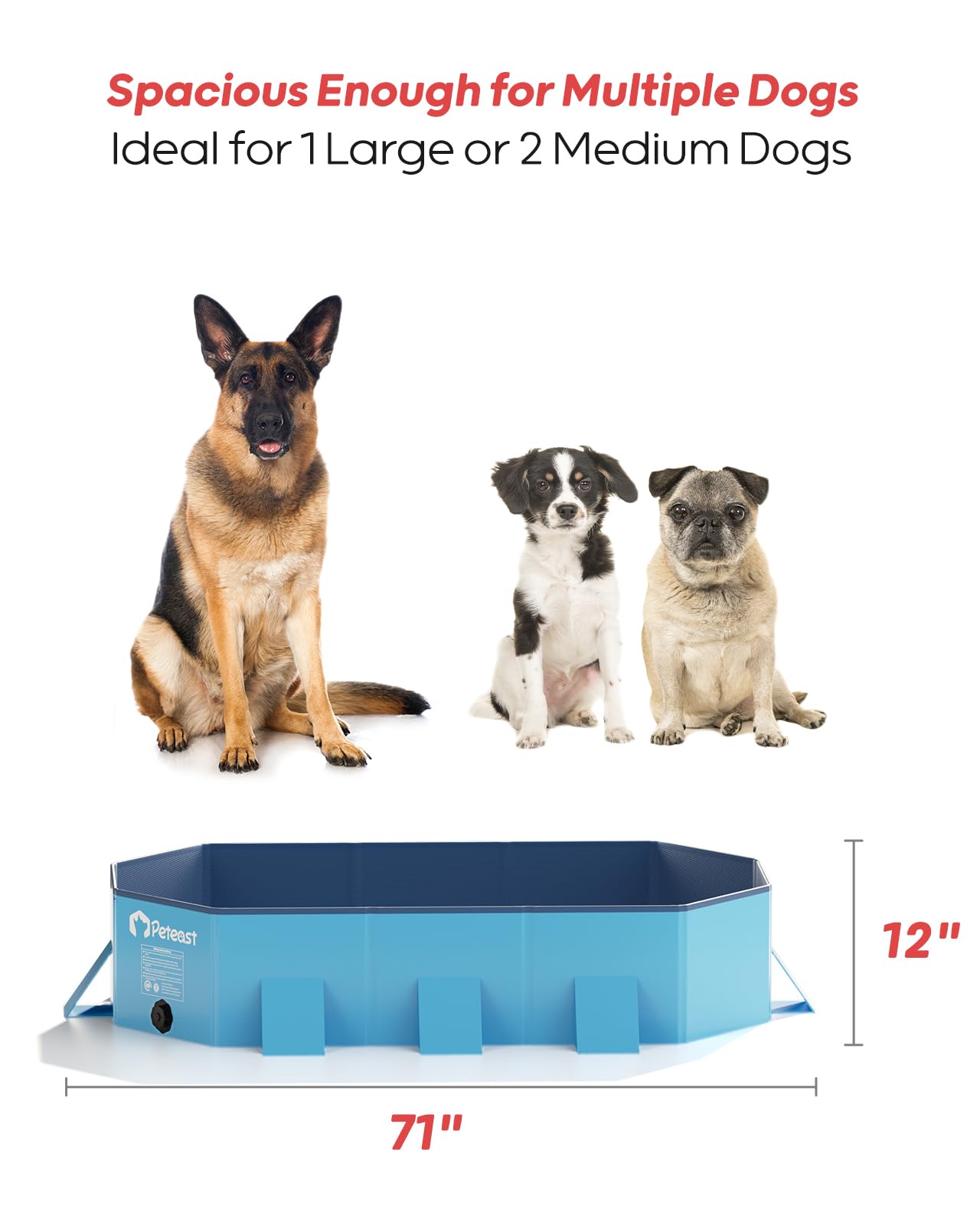 Peteast foldable dog pool folded neatly for travel and home storage