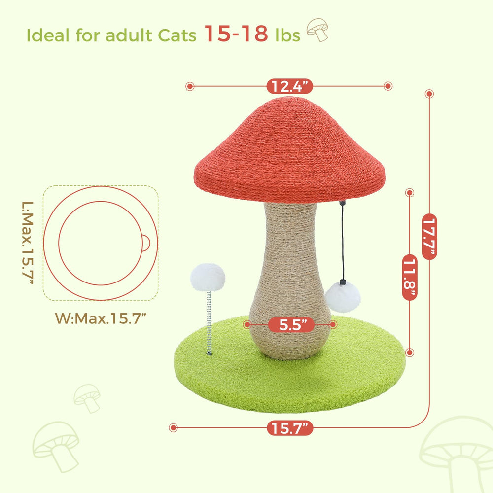 PETEPELA easy assembly enables quick setup for indoor fun