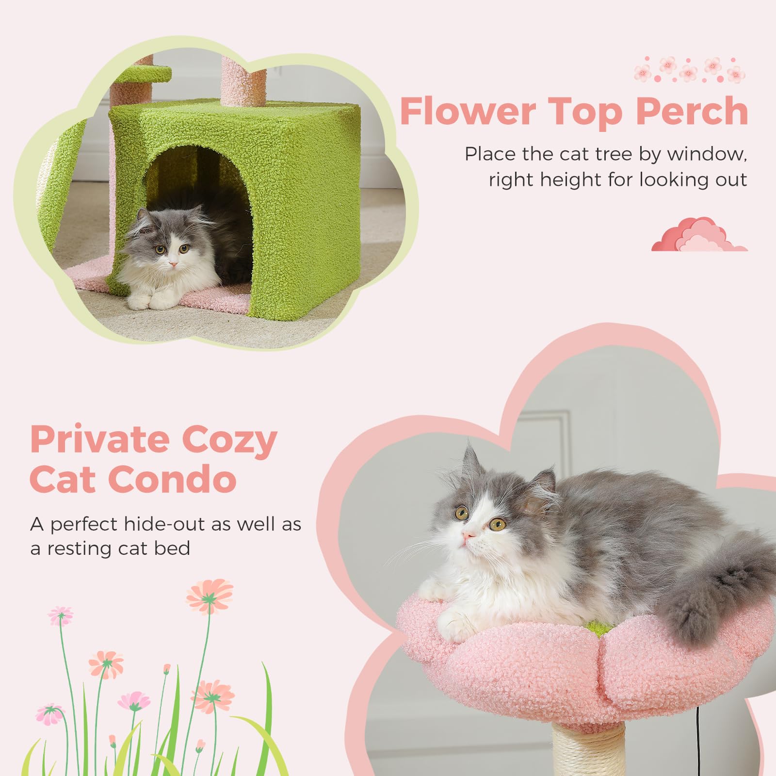 Petepela Flower Bed Perch sits on top, offering a sunny view and secure resting spot.