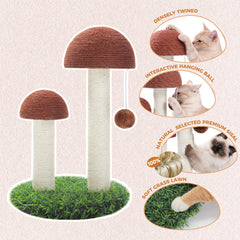 PETEPELA mushroom scratcher with interactive ball for kittens