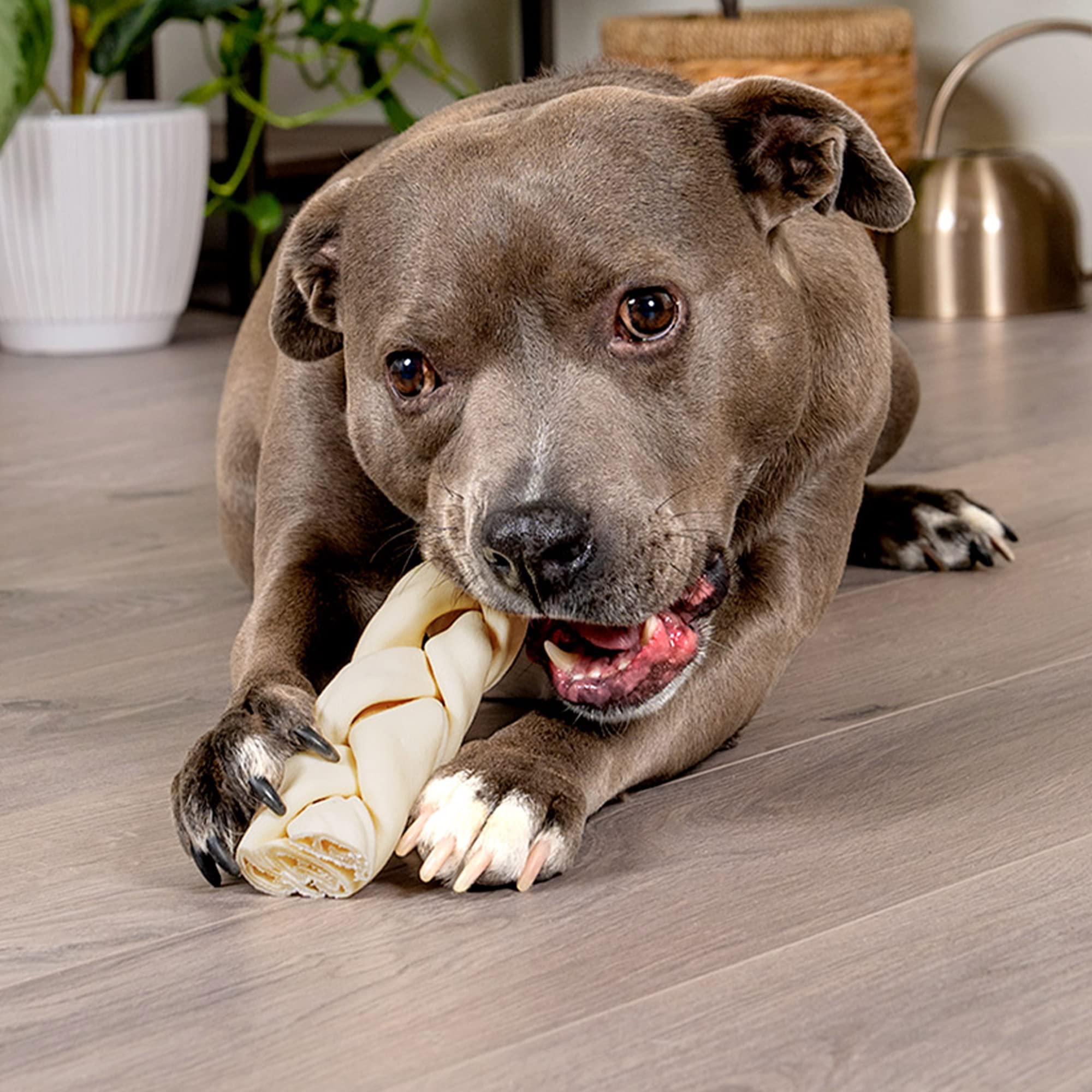 Pet Factory Beefhide Braided Sticks packaged as a robust dog chew
