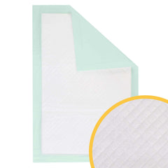 Petfamily pad being replaced easily in the litter box.