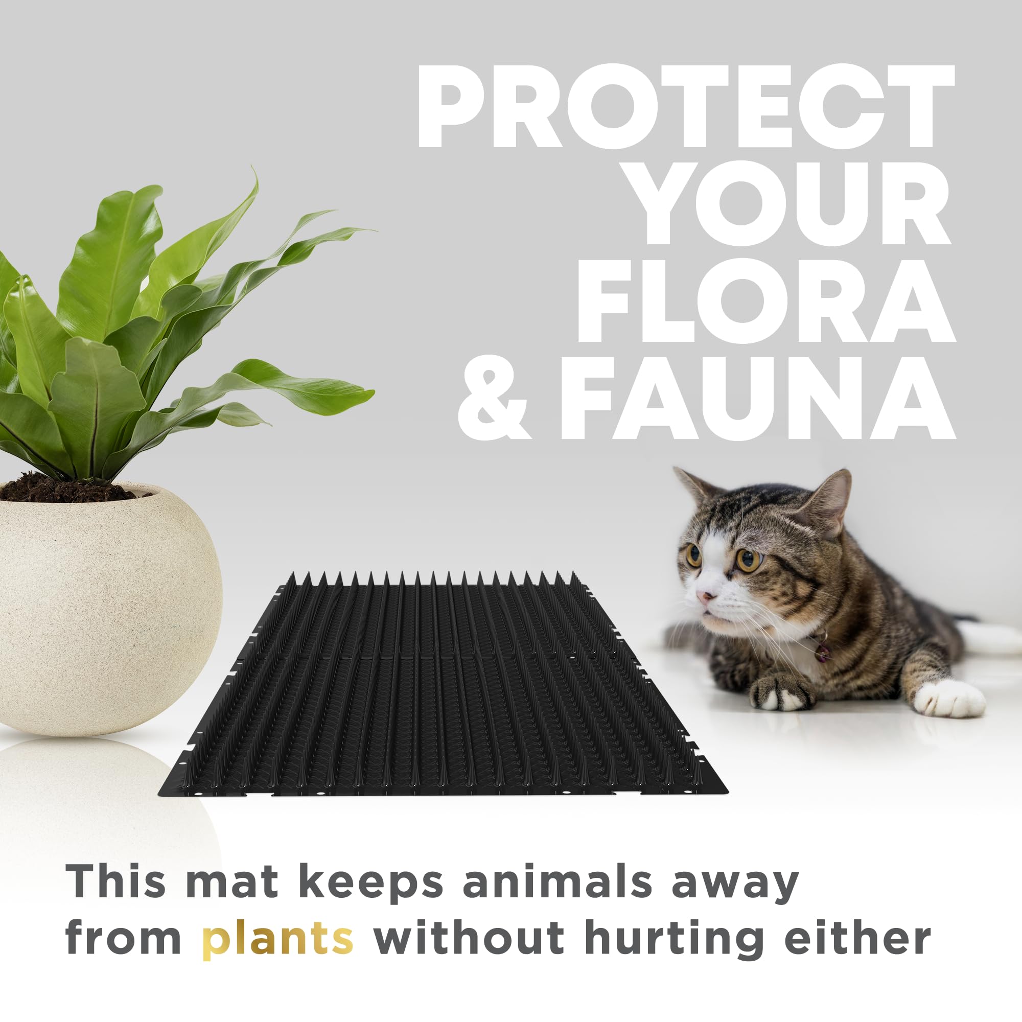 Petfolio cat spike mat outdoor garden setup deters cats and other animals.