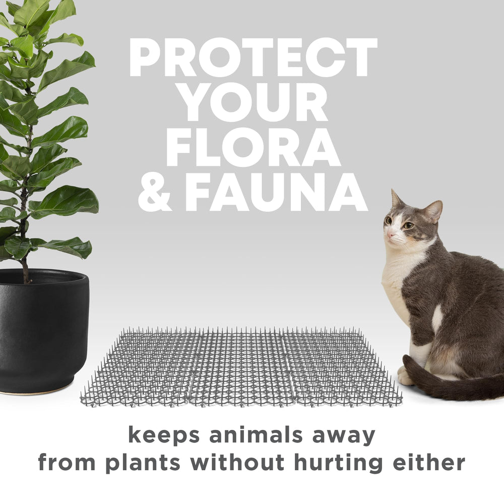 Petfolio scat mat close-up spikes illustrate 1-inch deterrent for cats.