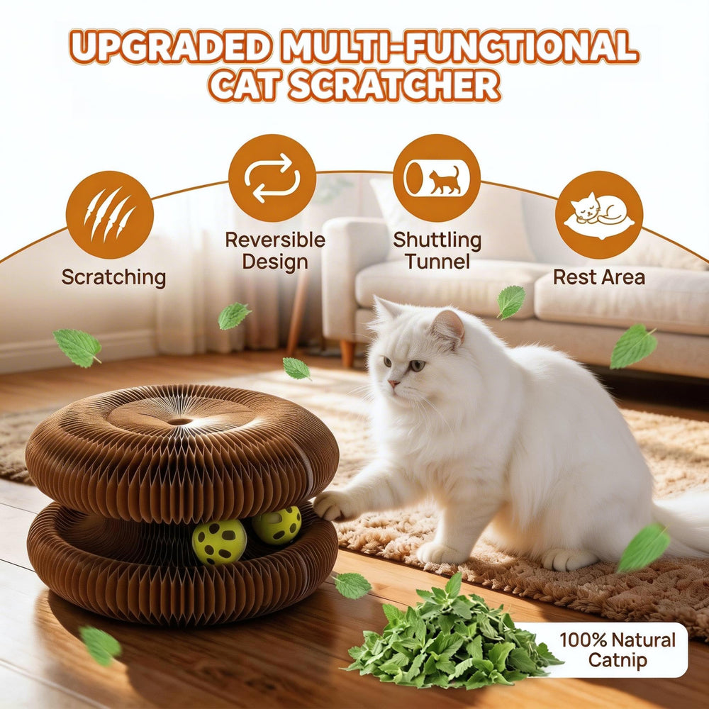 PetFun Twisty Paws bell-ball feature adds audible engagement for cats