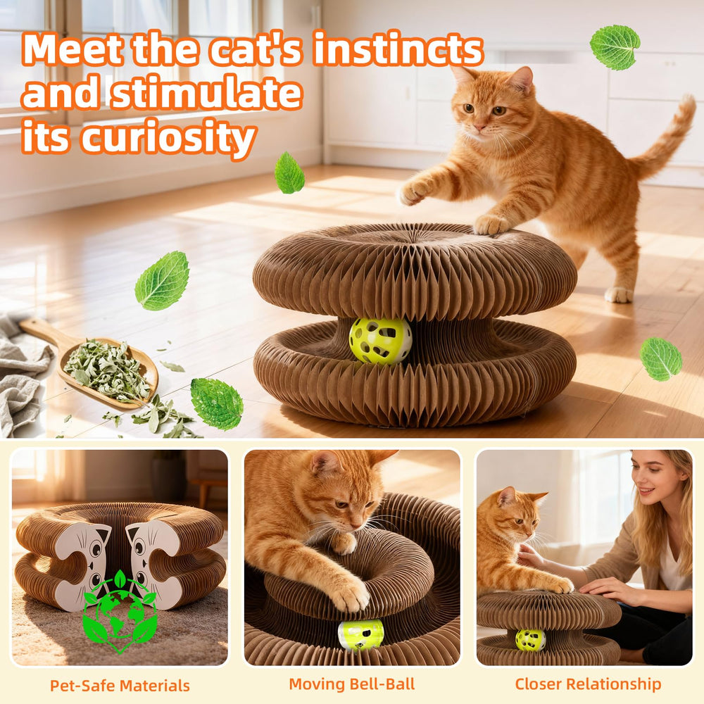 PetFun Twisty Paws indoor-cat toy promotes active, engaging play