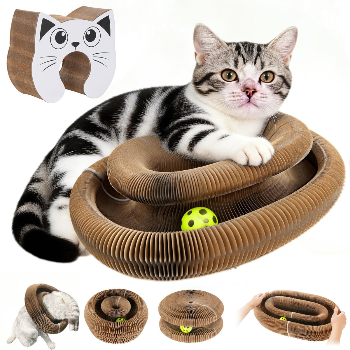 PetFun Twisty Paws toy with magnetic foldable panels for indoor play