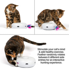 PetFusion Ambush shows six hidden holes for random feather pops.