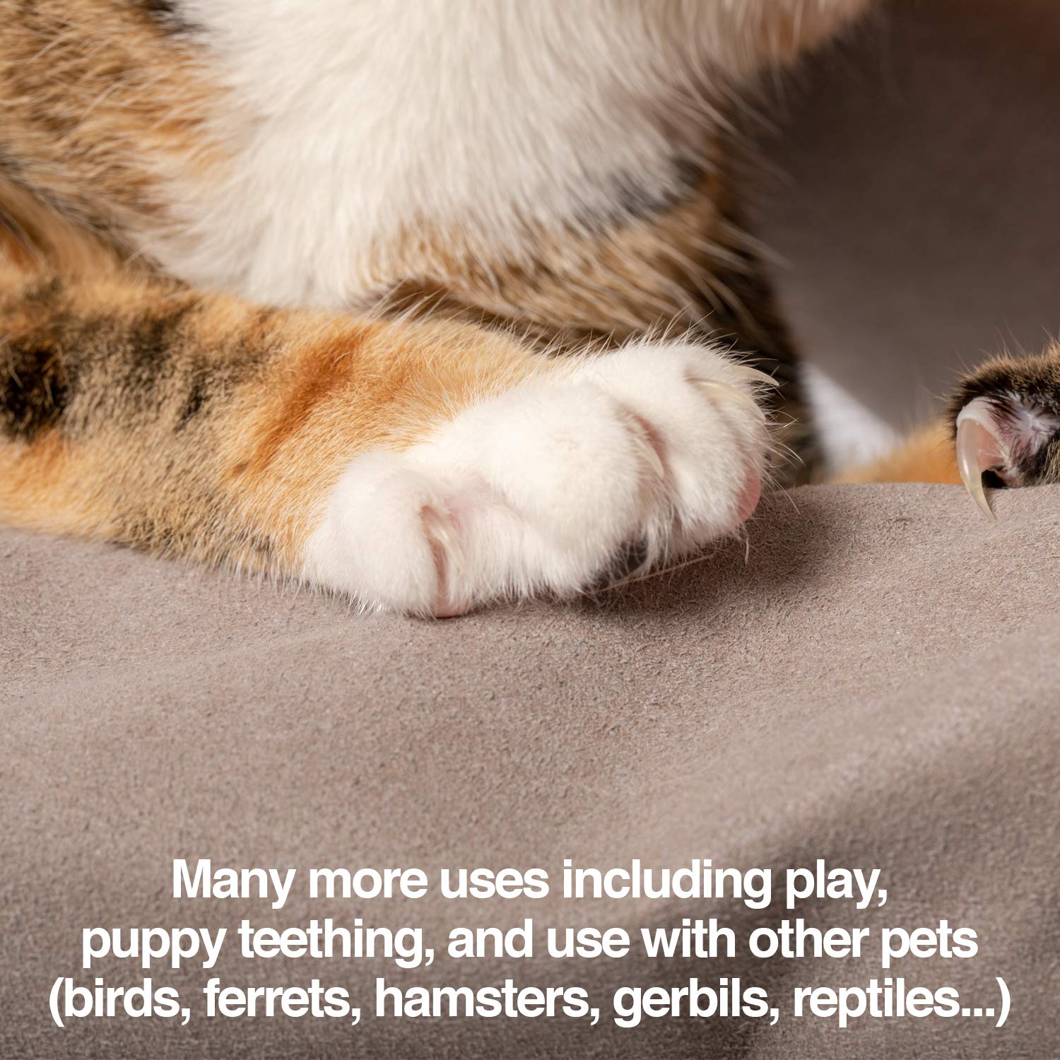 PetFusion gloves designed for handling multiple pets safely