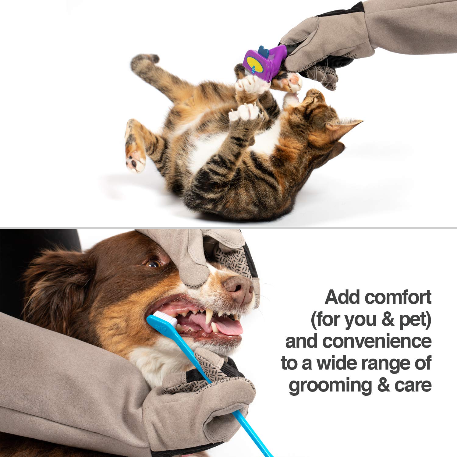 PetFusion grooming gloves ideal for dog grooming sessions