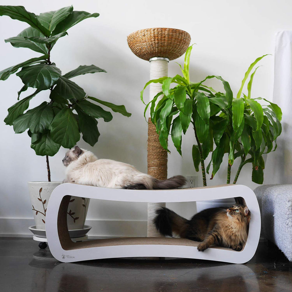 PetFusion Jumbo Cat Scratcher Lounge dimensions 39 by 11 by 14 inches.