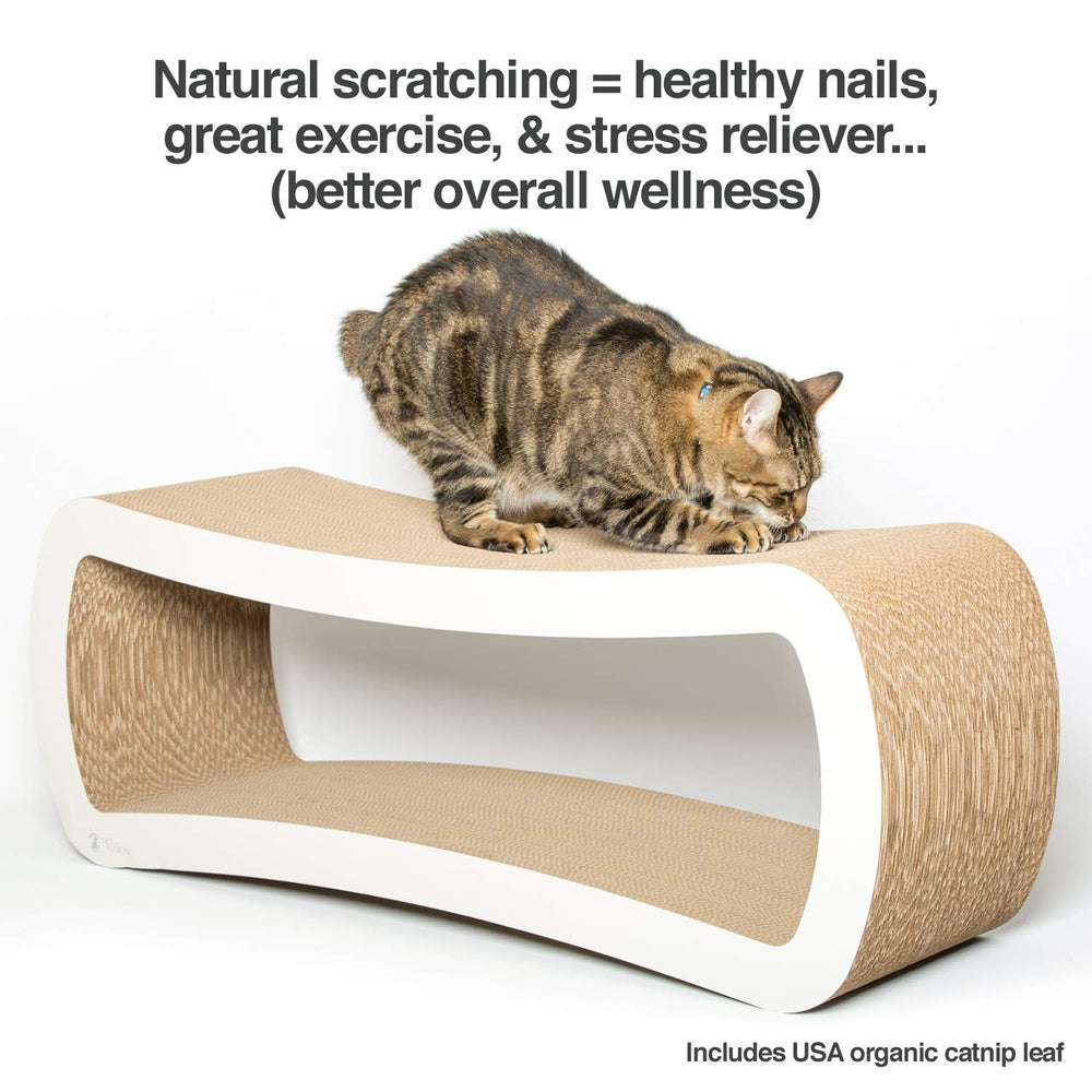 PetFusion Jumbo Cat Scratcher Lounge top view highlights large surface for shared scratching.