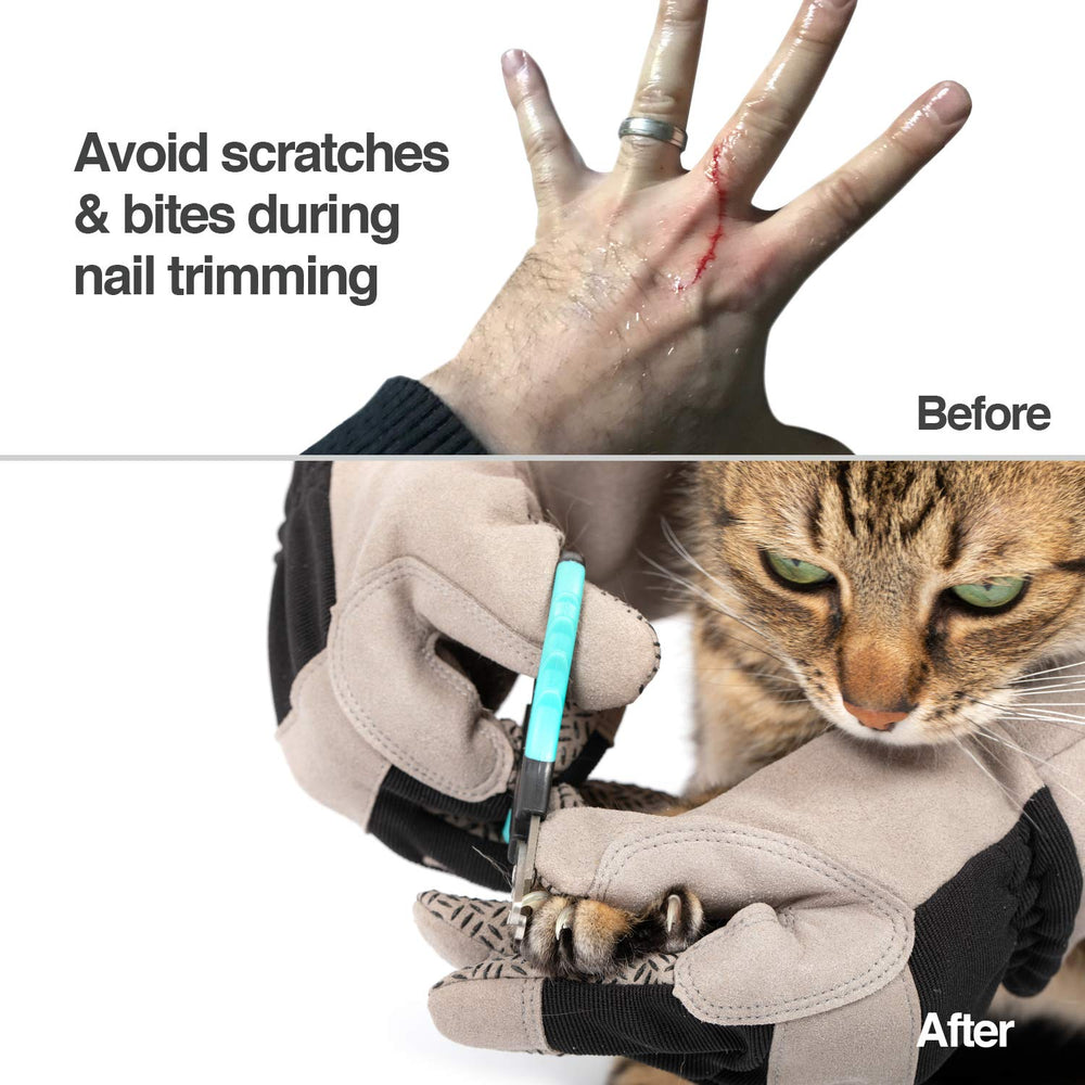 PetFusion glove for handling supports safe play with soft silicone knobs.
