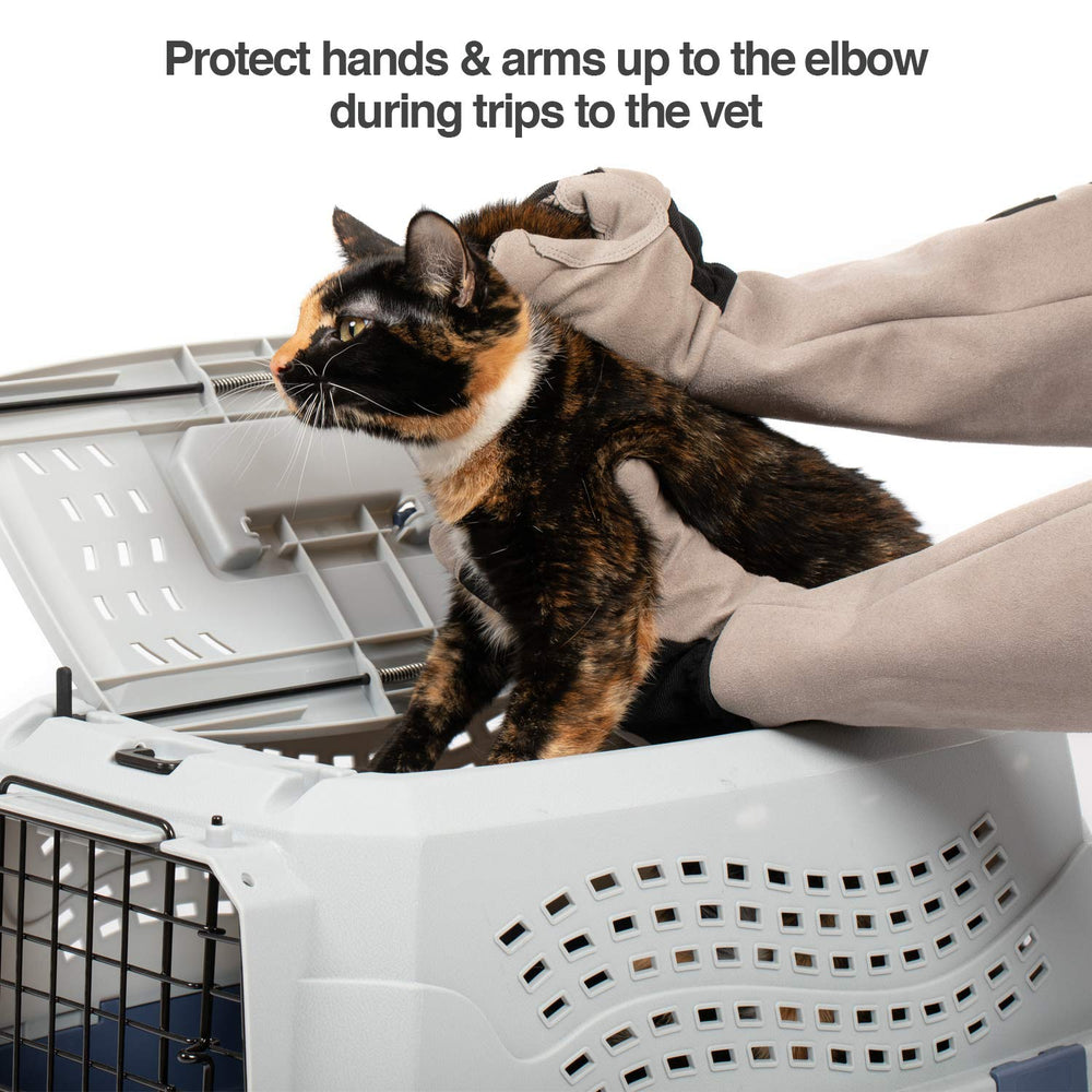 PetFusion glove offers puncture and scratch protection during brushing and transport.