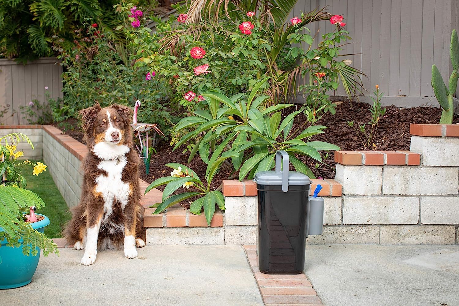 PetFusion includes 5 bags for convenient initial setup