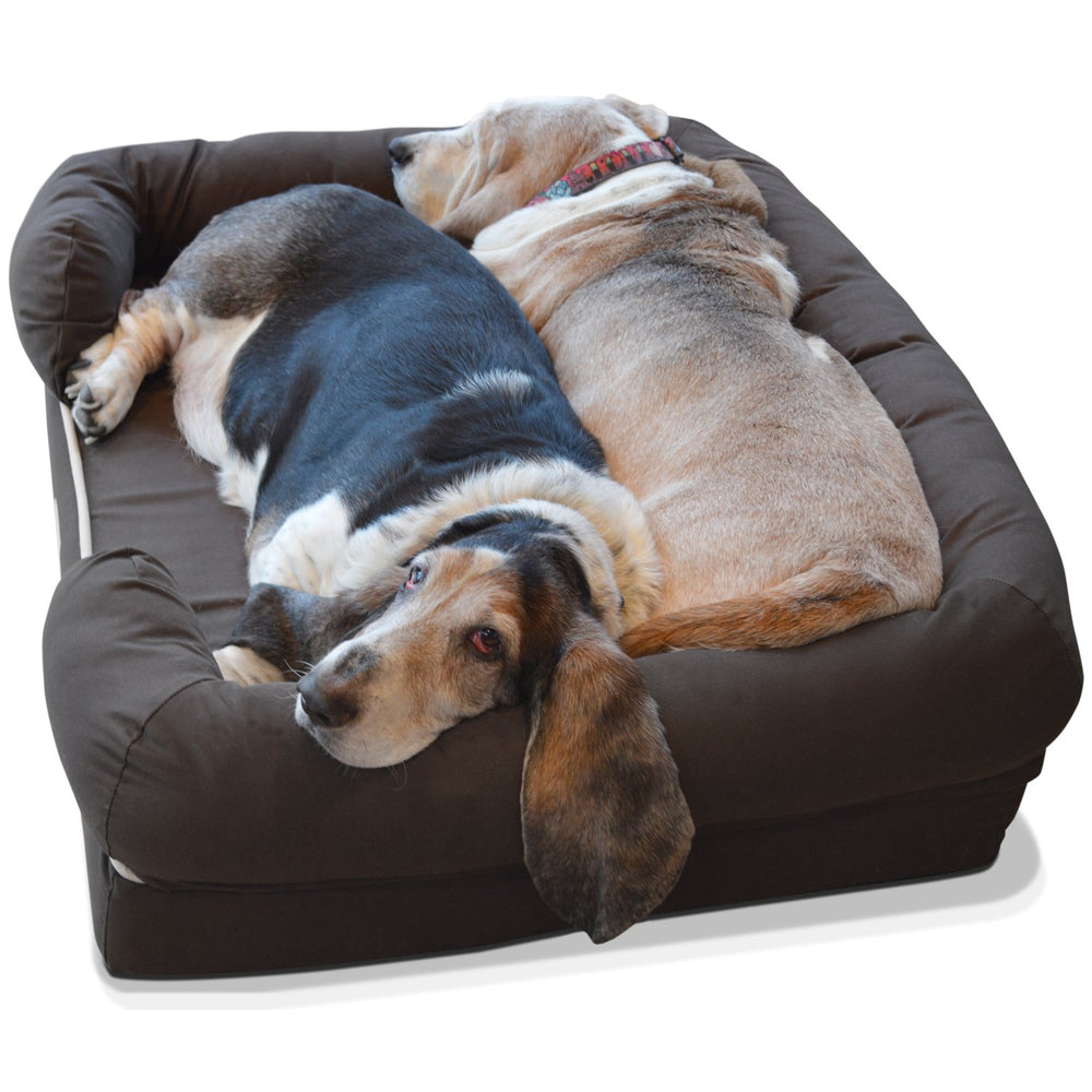 PetFusion Ultimate Dog Bed dimension 36x28x9 inches for medium to large dogs