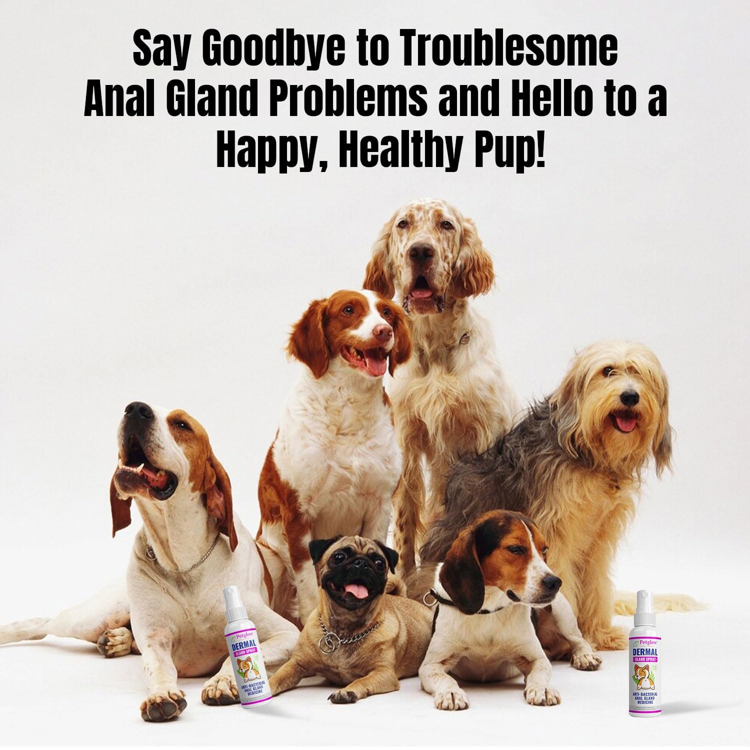 Petglow dog grooming routine support when used as directed.