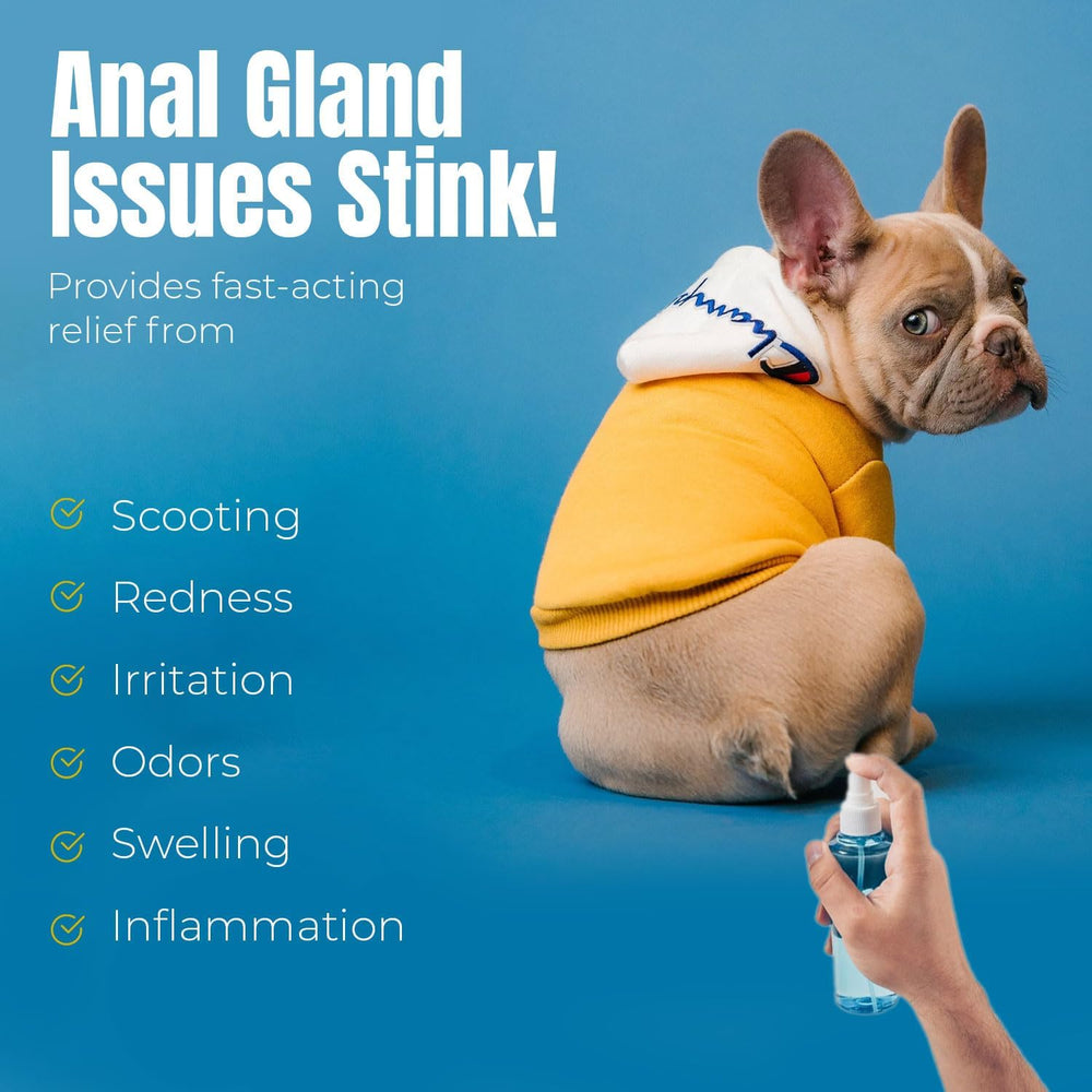 Petglow easy spray-action for quick, gentle application.
