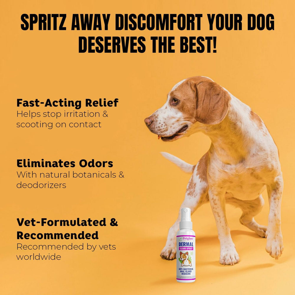 Petglow odor-elimination spray neutralizes smells without harsh fragrances.