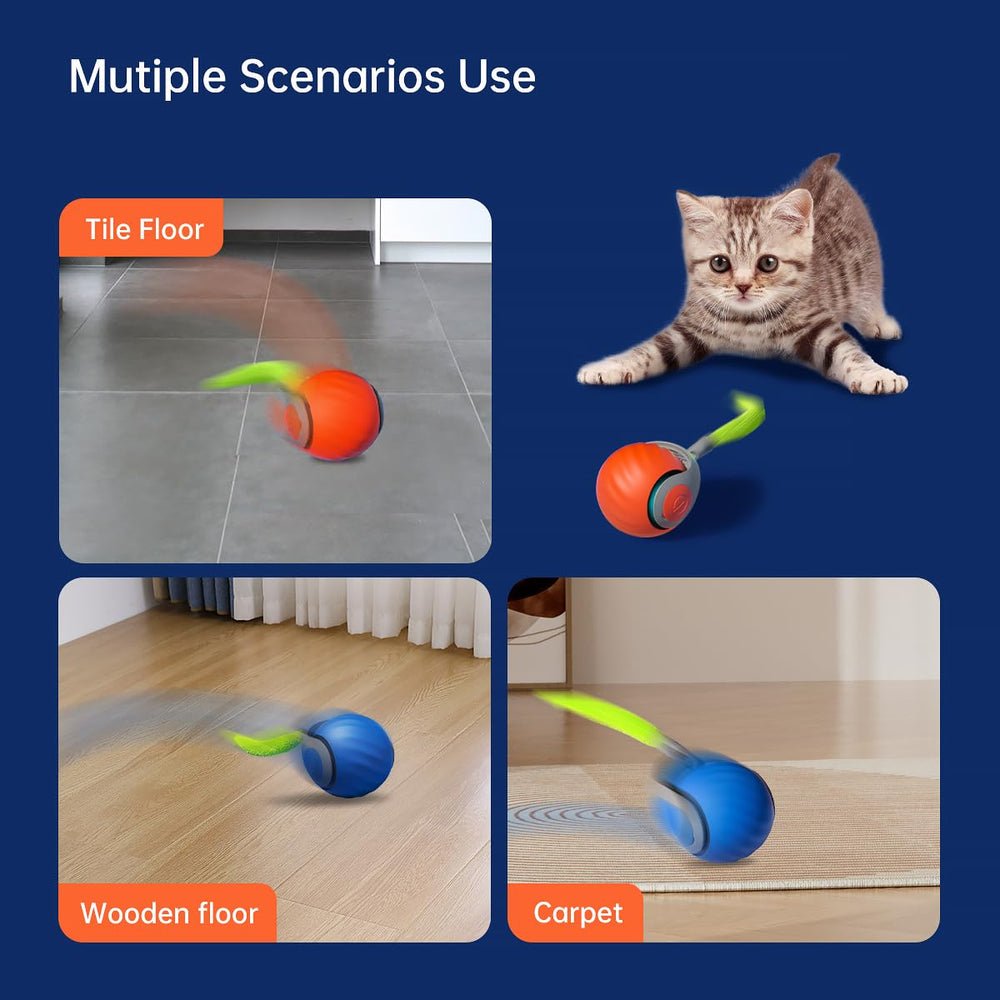 Petgravity Speedy Sprint Ball provides hours of interactive play with a robust motor.