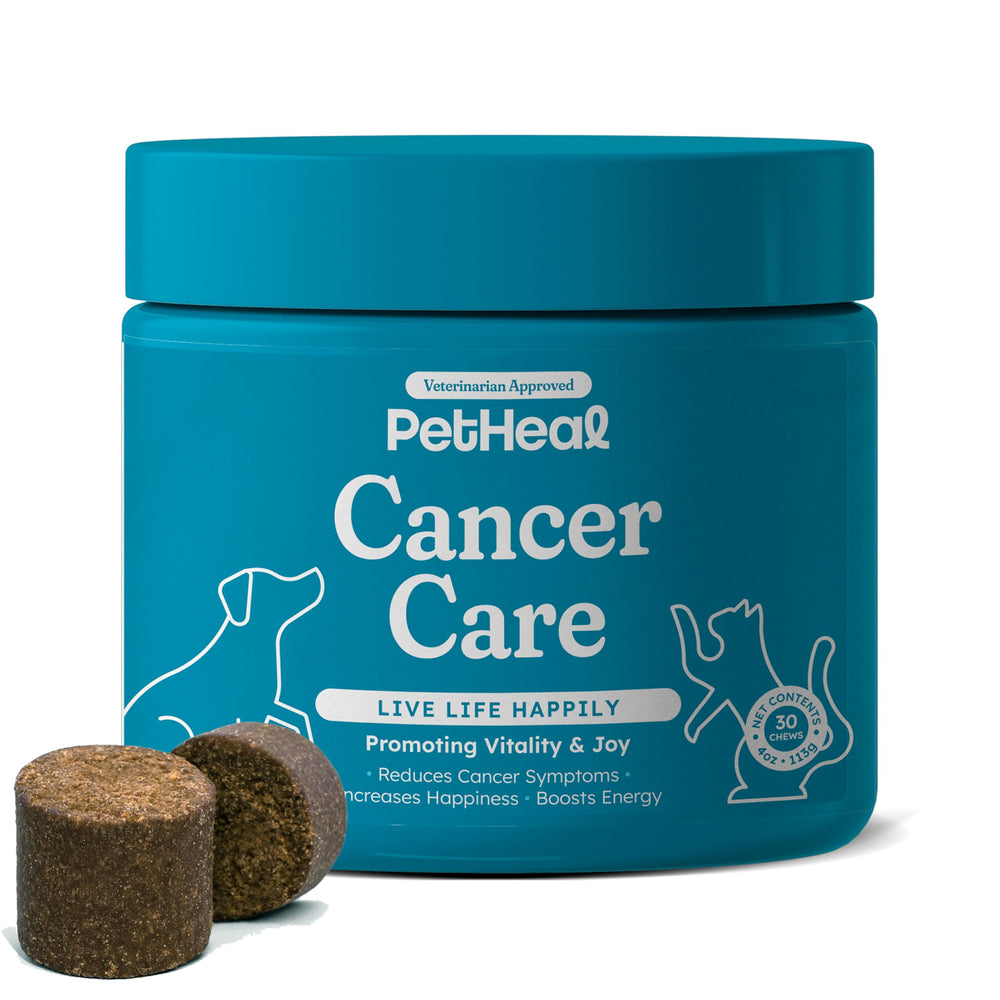 PetHeal Cancer Care Chews bottle front, pork flavor, easy administration for picky dogs.