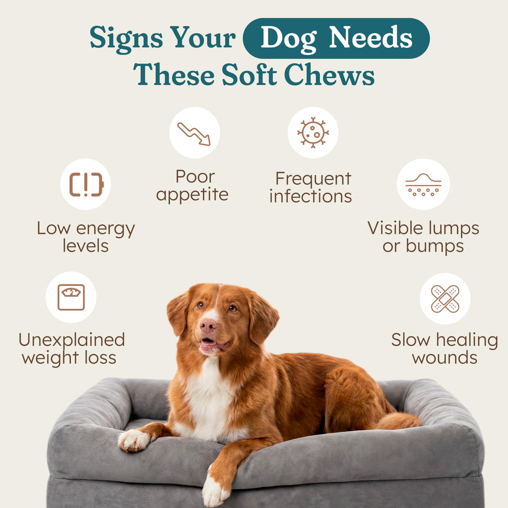 PetHeal Cancer Care Chews close-up, pork flavor, highlighting palatability and easy dosing.