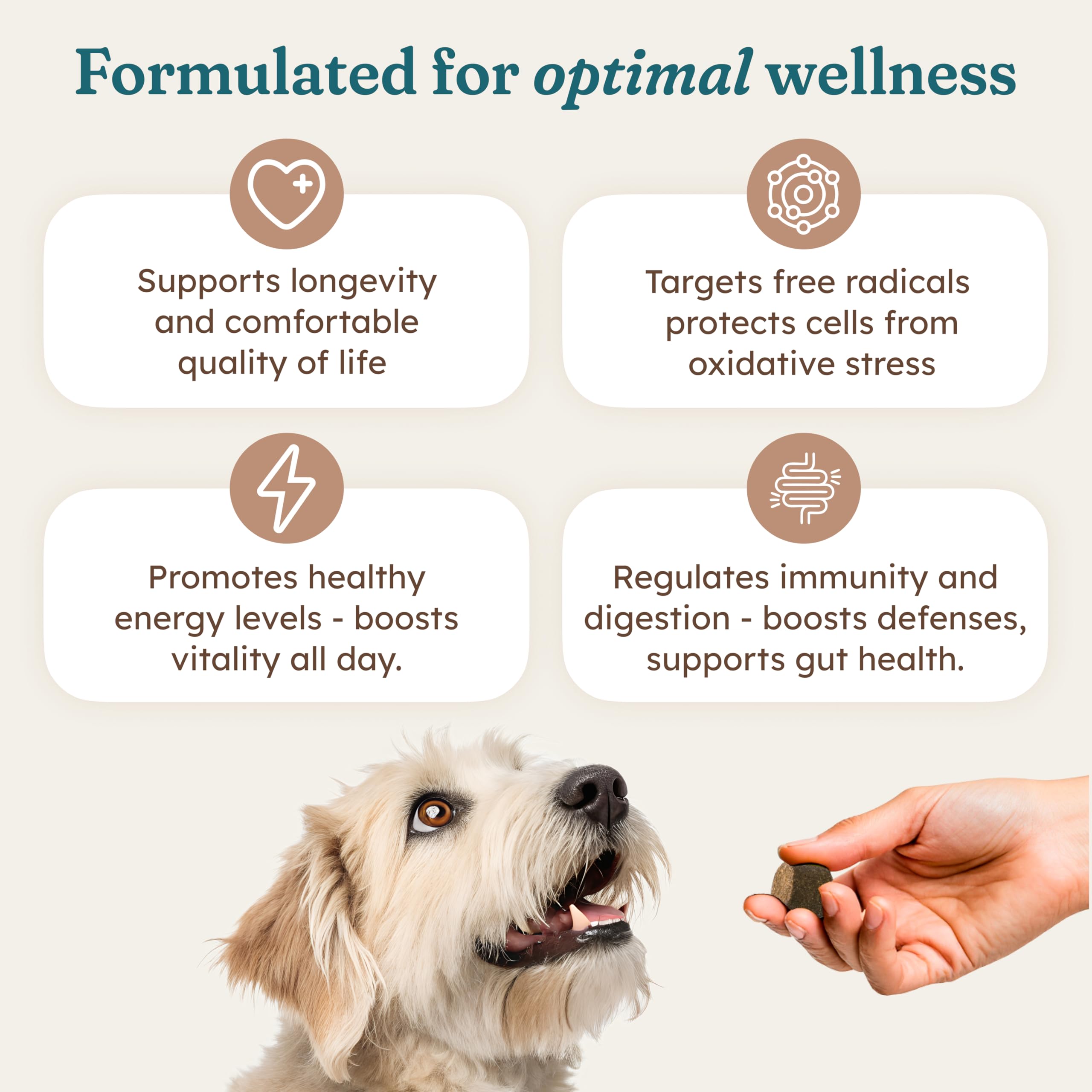 PetHeal Cancer Care Chews ingredients Astragalus and Burdock roots for immune support.