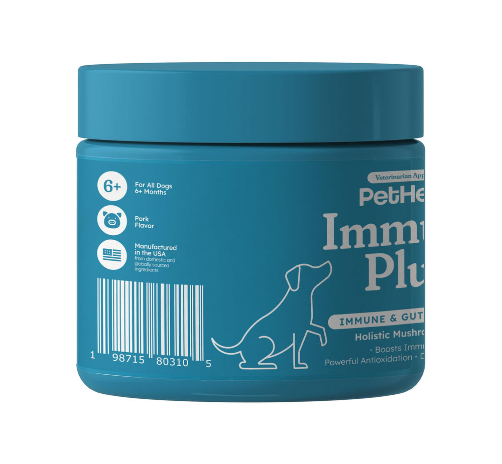 PetHeal Immune Plus dog with shiny coat inspired by daily supplement.