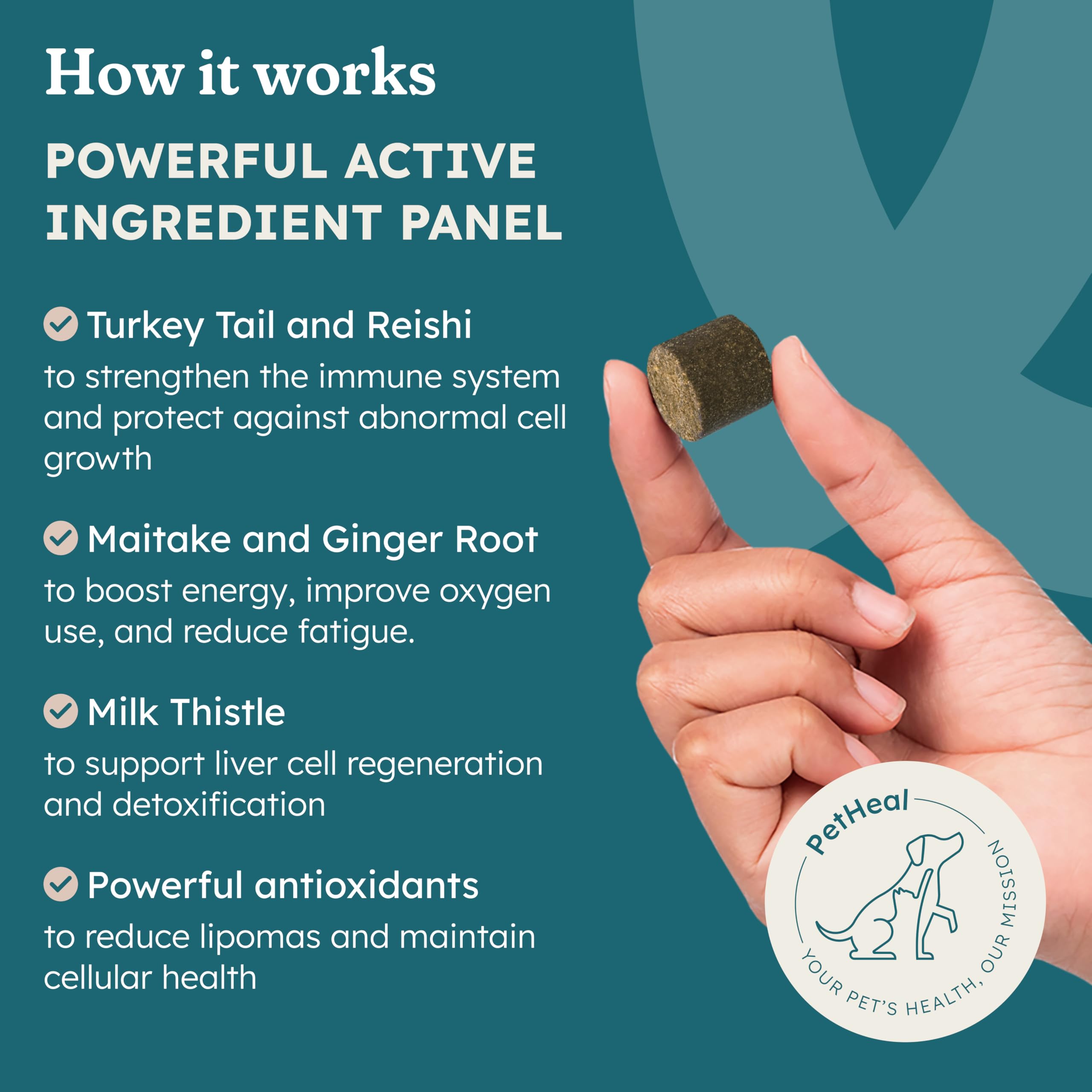 PetHeal Immune Plus turkey tail ingredient visual emphasizing natural immune-supporting components.
