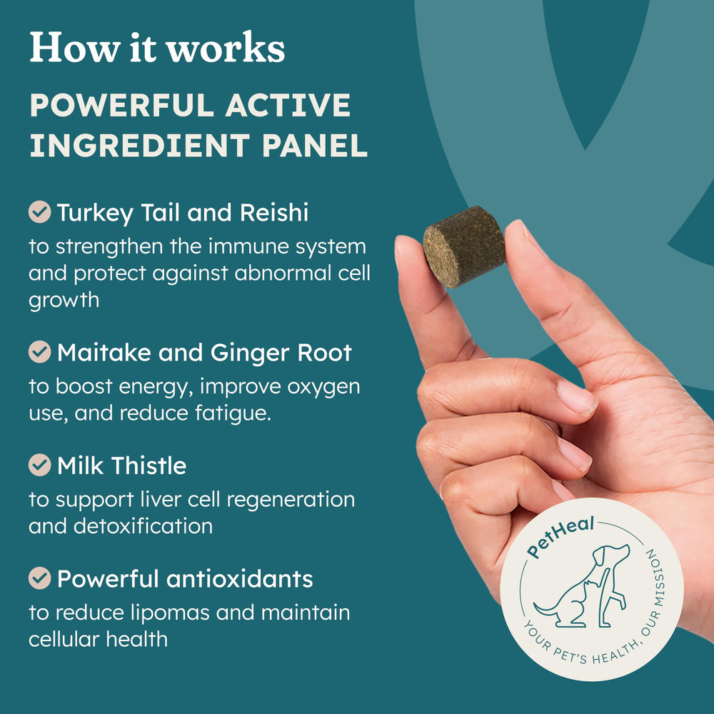 PetHeal Immune Plus turkey tail ingredient visual emphasizing natural immune-supporting components.