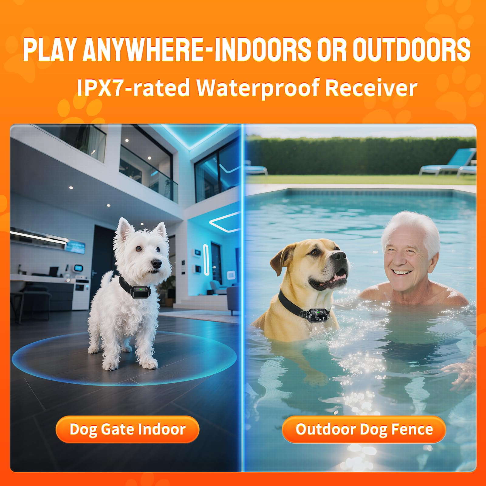 PETHEY F900 real-time pet monitoring shows your dog's distance instantly.