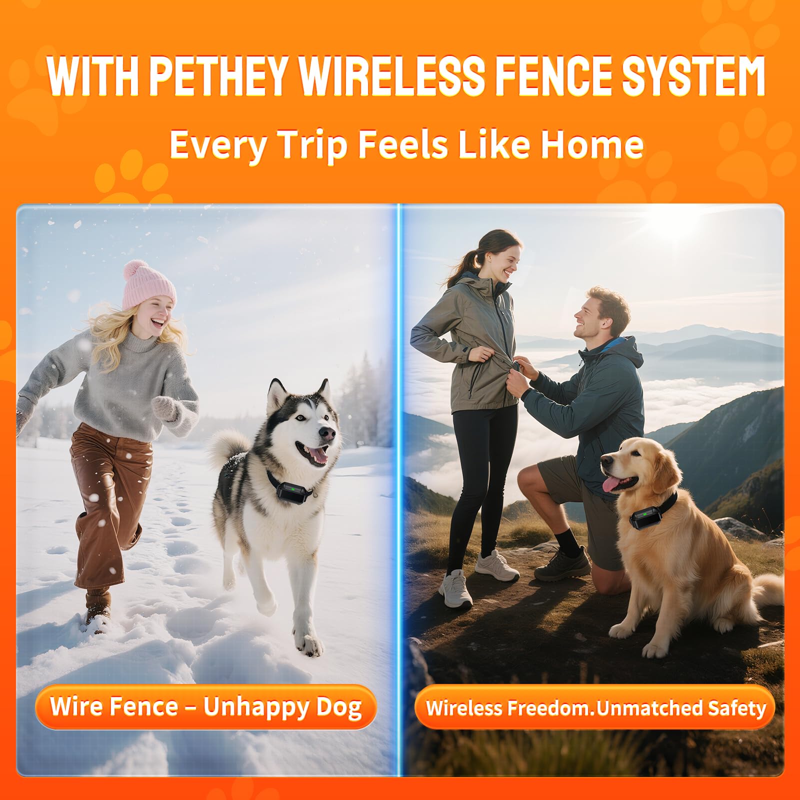 PETHEY F900 supports up to 3 dogs for multi-pet households.