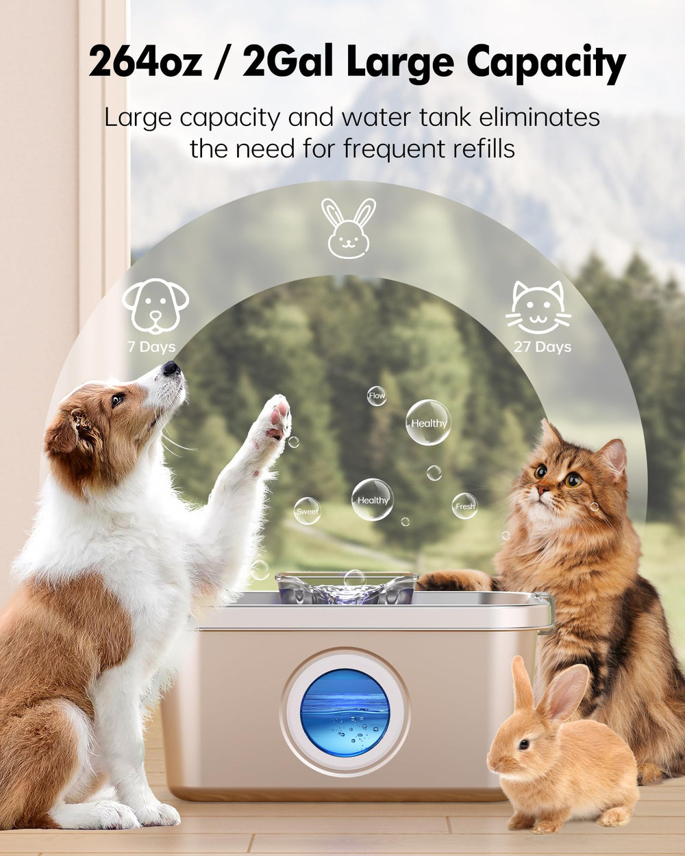 PETHIND quiet pump design keeps your home peaceful during pet hydrating sessions.