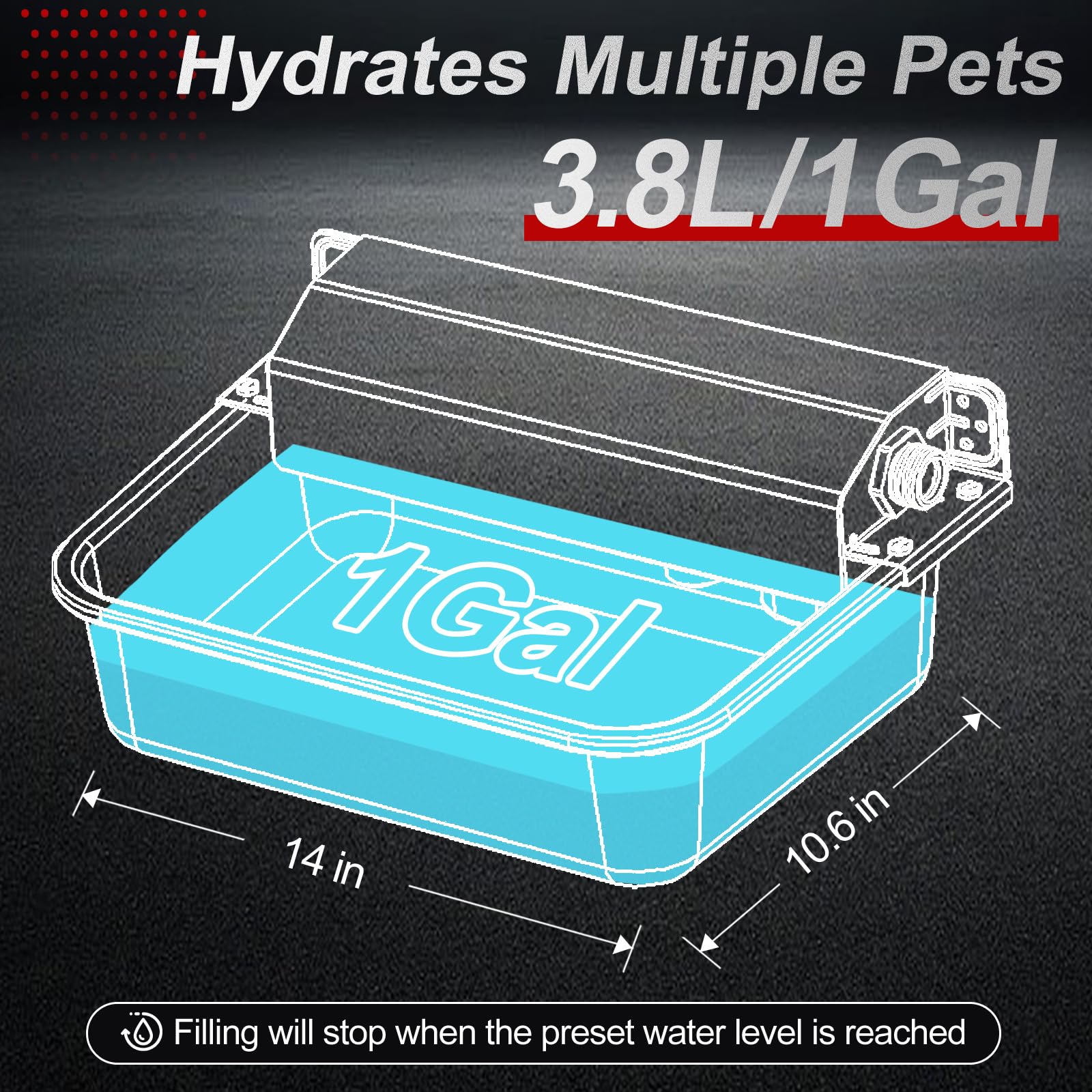 PETHIND stainless steel dog water bowl highlighting durability and safety