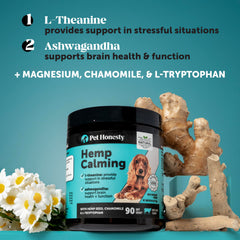Pet Honesty calming chews sample ready to offer to a dog for routine use.