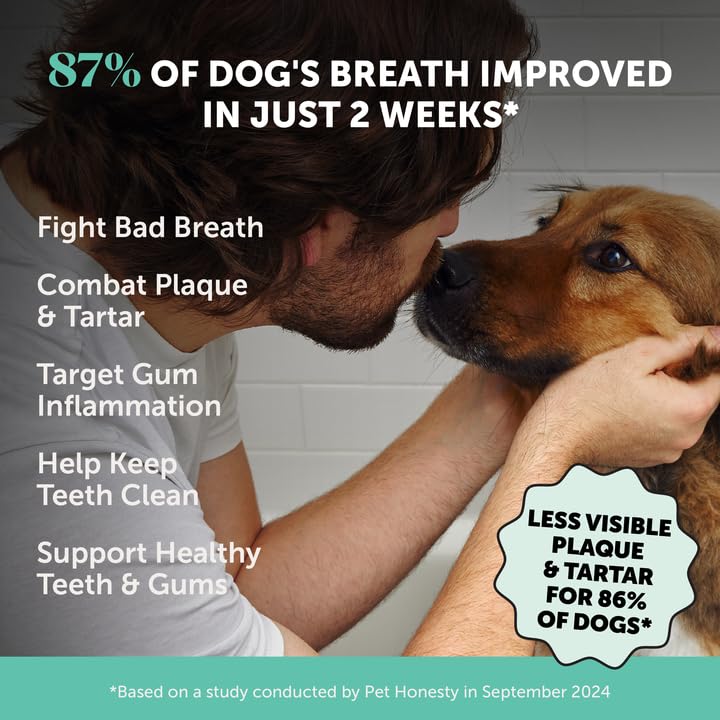 Pet Honesty dental powder serving scoop enables quick dosing