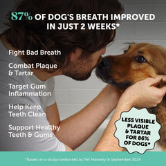 Pet Honesty dental powder serving scoop enables quick dosing