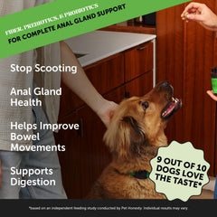 Pet Honesty Scoot Stopper chews on a table, delicious fiber and probiotics for digestive health.