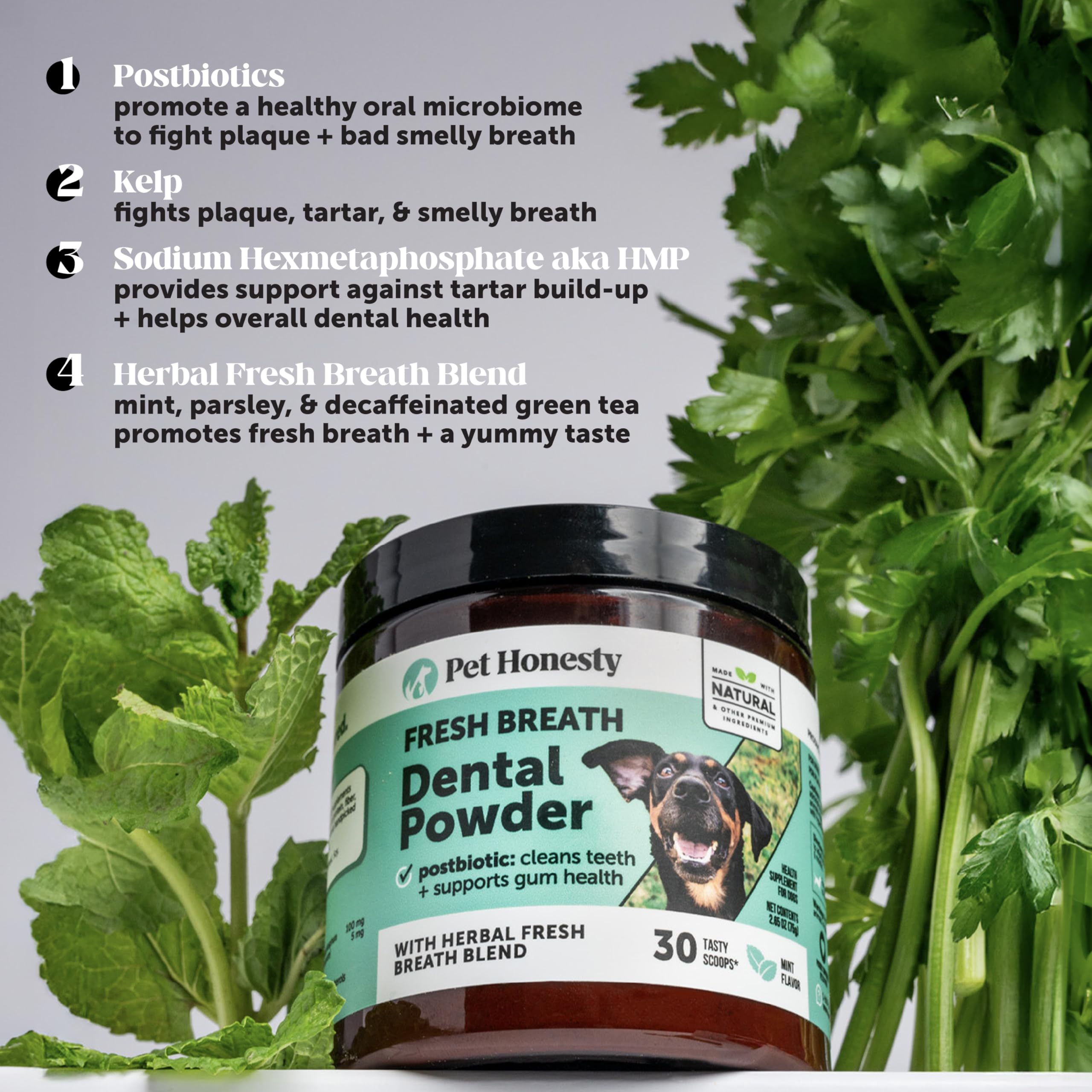 Pet Honesty large-dog dental care scene for big breeds