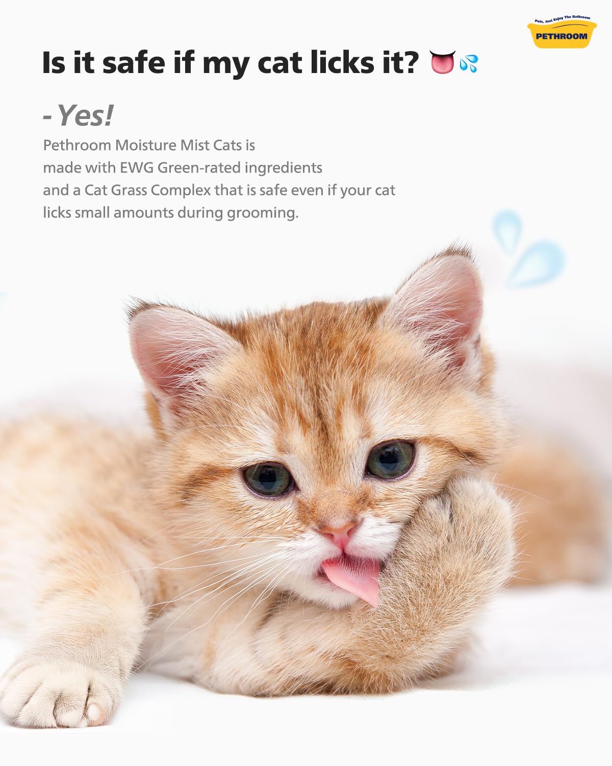 PETHROOM Unscented Cat Moisture Mist soft coat after application.