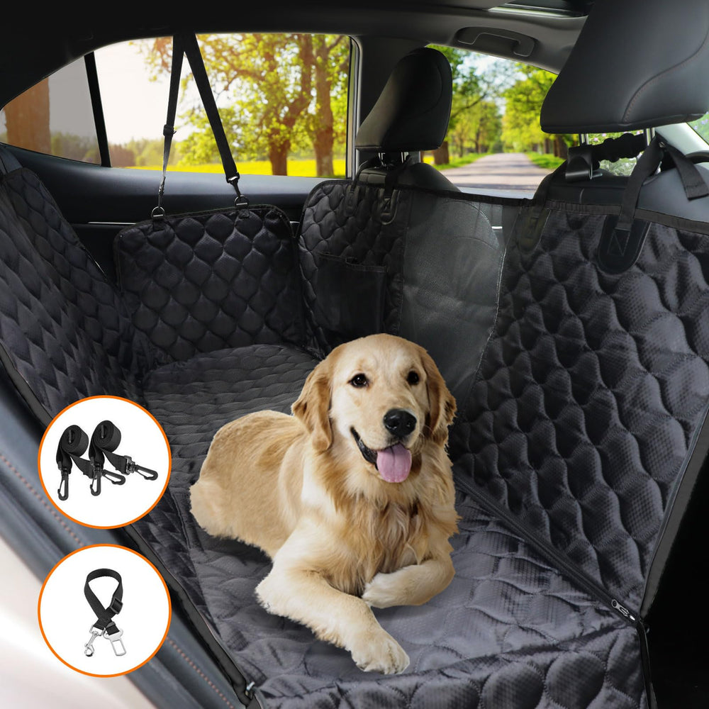 PETICON mesh window helps your dog stay visible and calm on trips