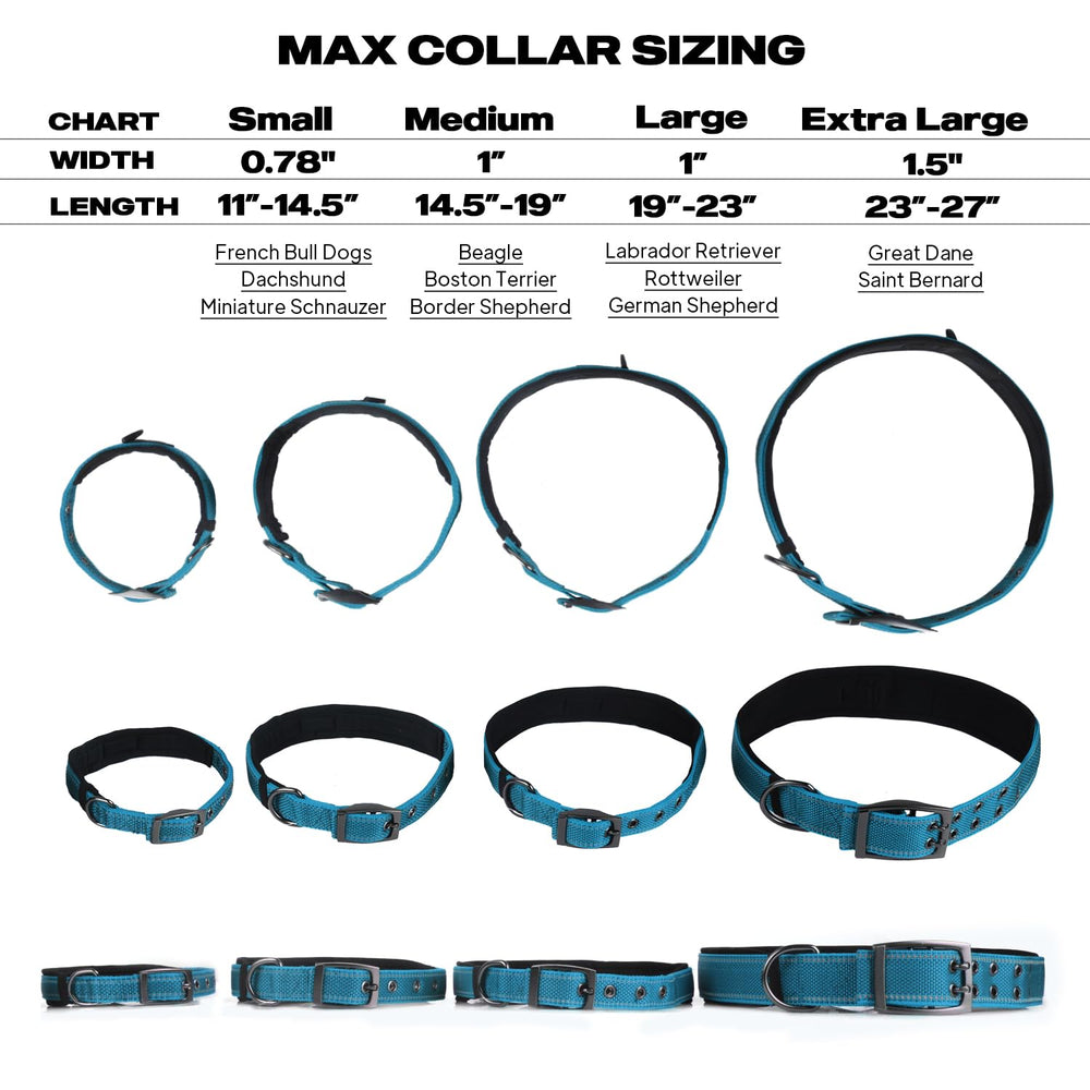 PetiFine adjustable collar designed for medium dogs with four sizes.