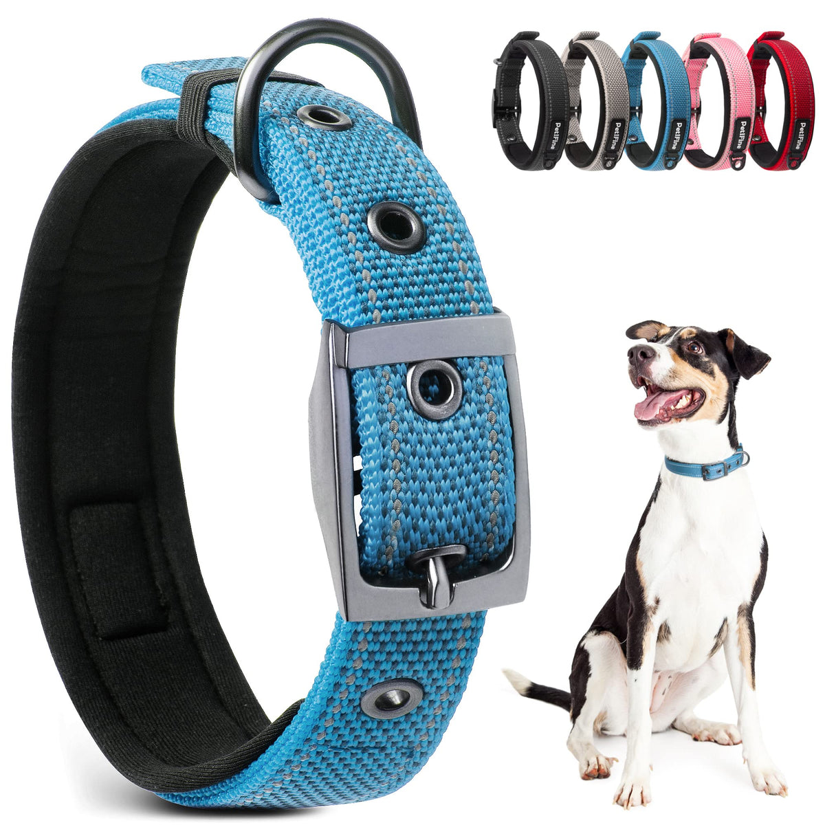 PetiFine blue neoprene-padded dog collar shown on a medium dog for daily comfort.