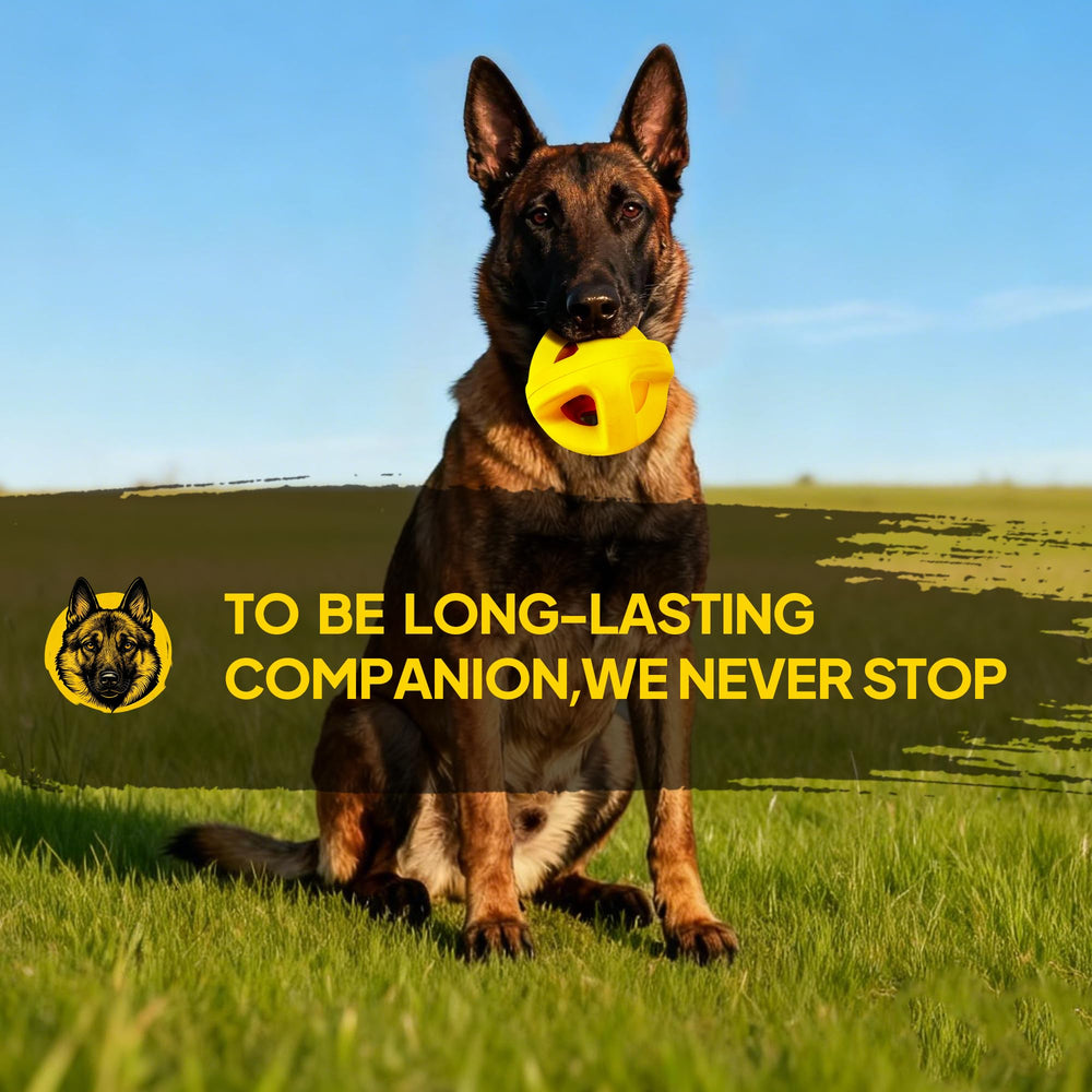 Bright PetiFine ball encourages active play and bonding between dog and owner.