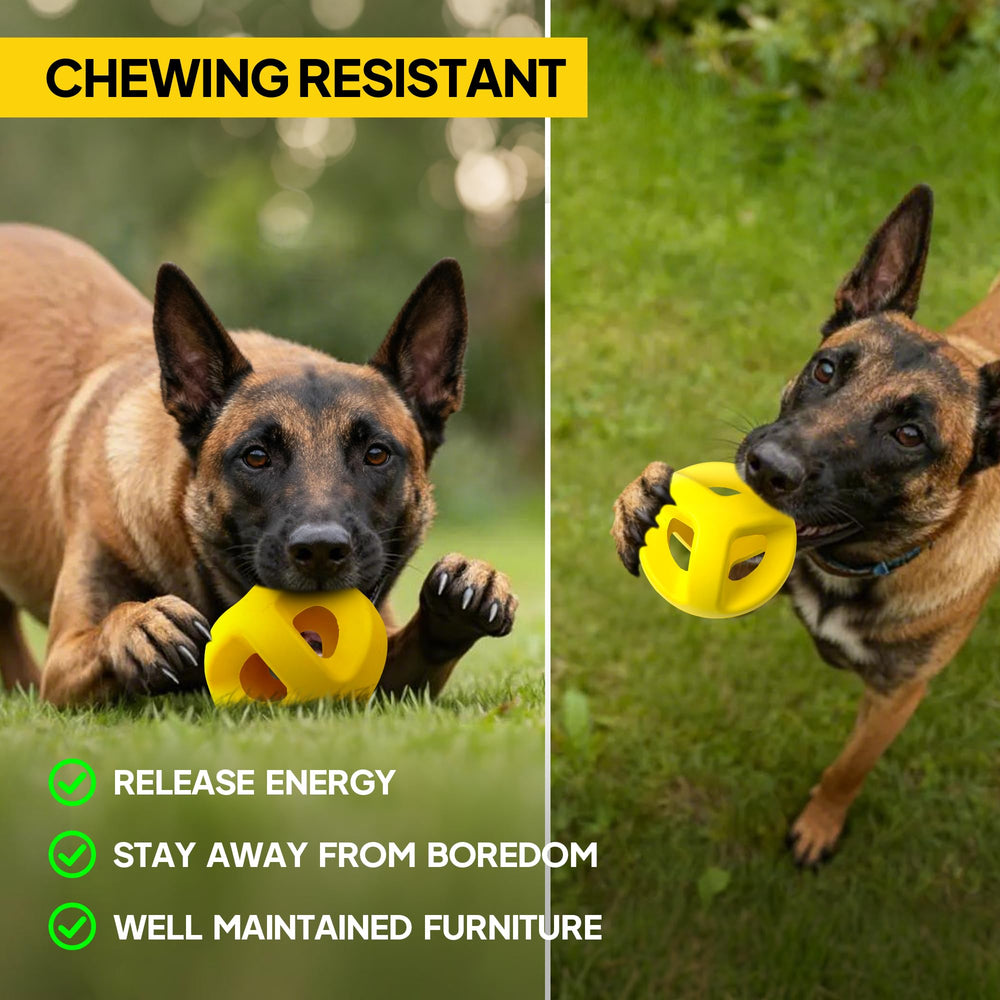 PetiFine yellow ball visible on grass for easy spotting during play.