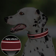 PetiFine adjustable strap helps achieve a perfect fit