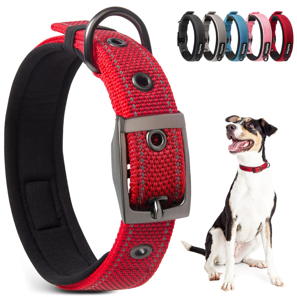 PetiFine dog collar with neoprene padding for comfortable long walks